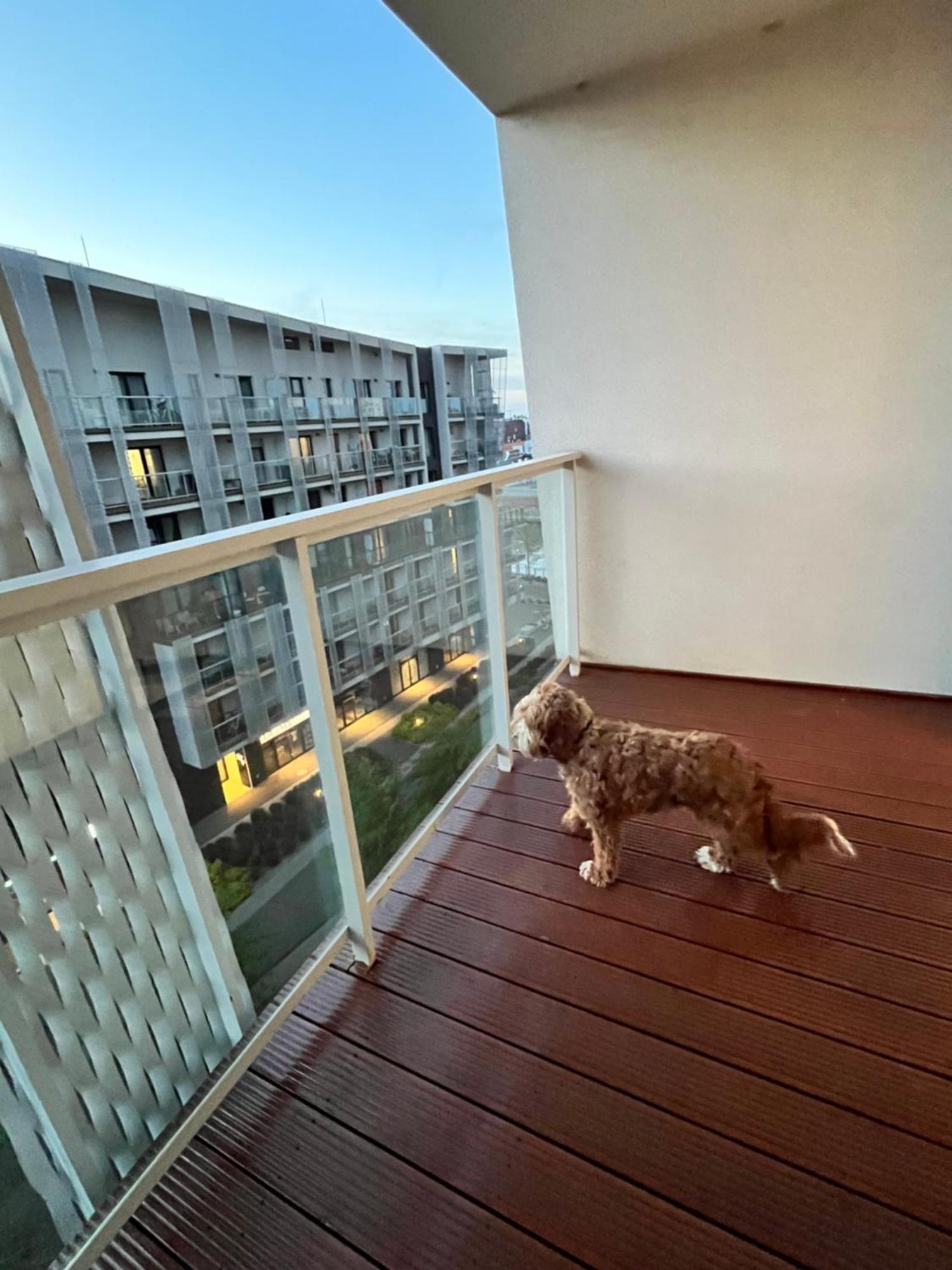 Family House By The River Odra -Panoramic Terrace - 3Room Apartment With 2 Separate Bedrooms And 2 Balconies By Wroapart-Pl- Perfect For Family & Business Stays Breslau Exterior foto